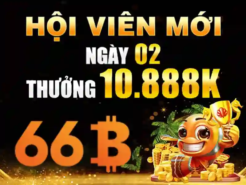 66b: khái niệm, lịch sử và ứng dụng