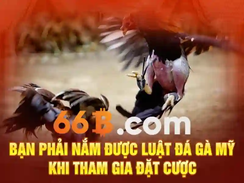 Các lợi ích và thách thức của 66B