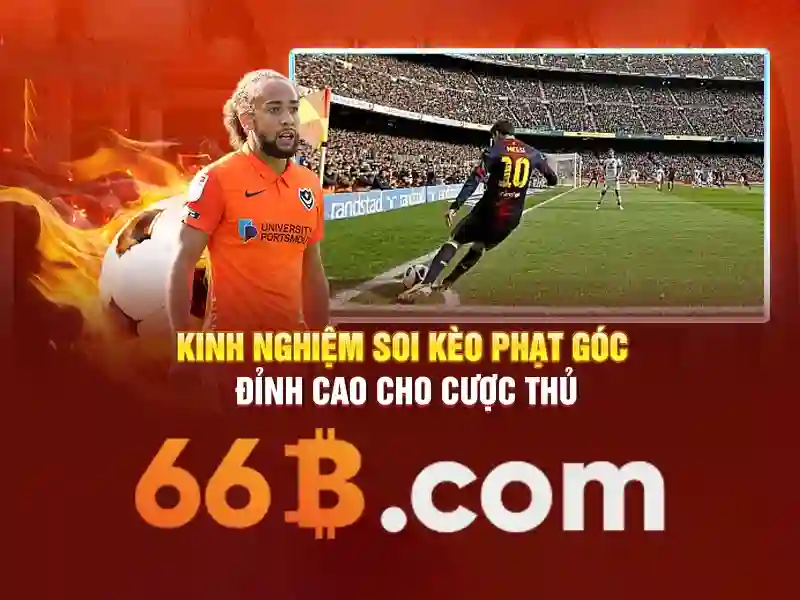 Nguồn gốc và vai trò của 66b trong ngành công nghệ