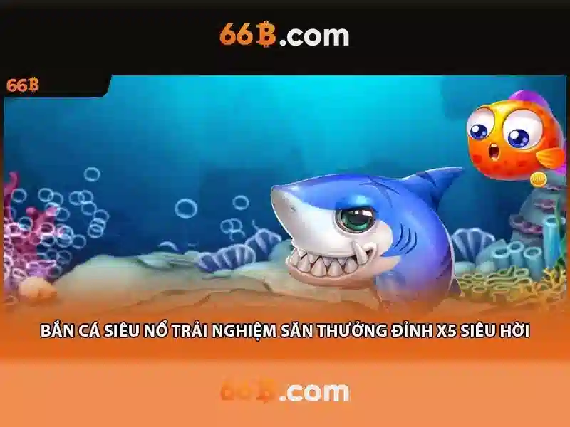 66B là gì và tại sao quan trọng