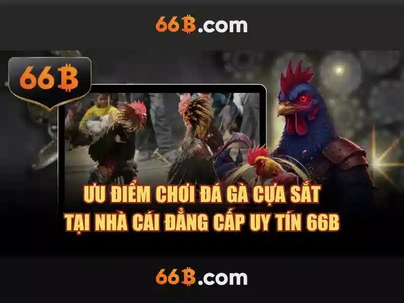 Cấu hình và kiến trúc của 66B