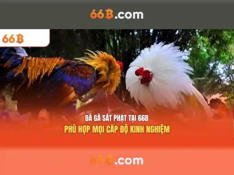 Khám phá 66B: mô hình ngôn ngữ có 66 tỷ tham số