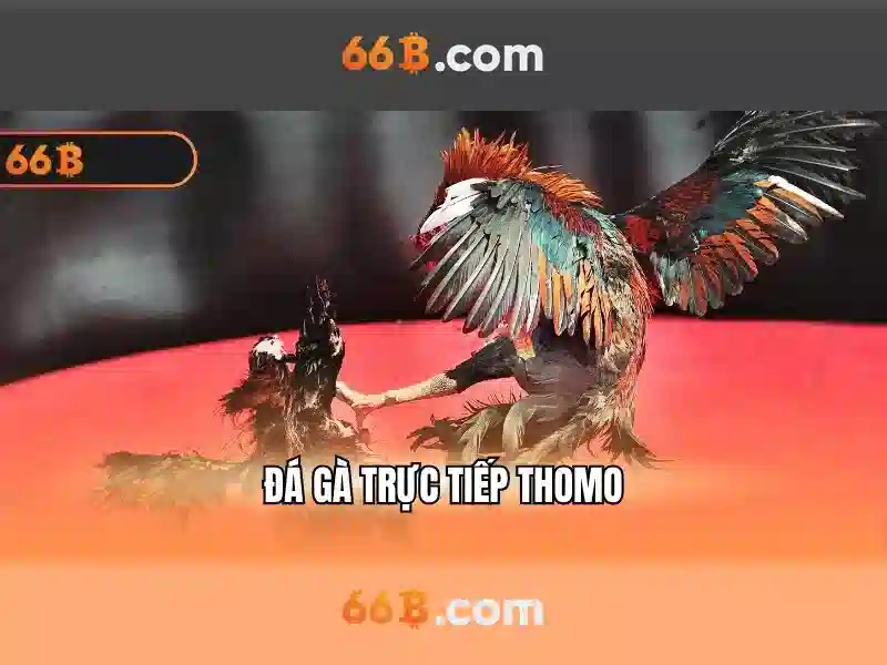 Ứng dụng của 66b trong AI