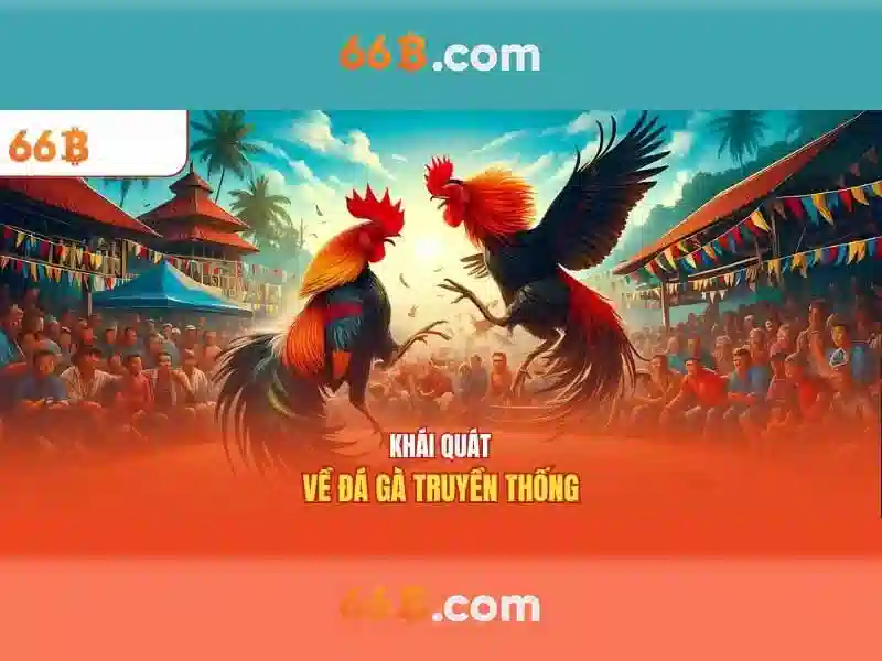 Phần 2: Cấu trúc và đặc điểm của 66b