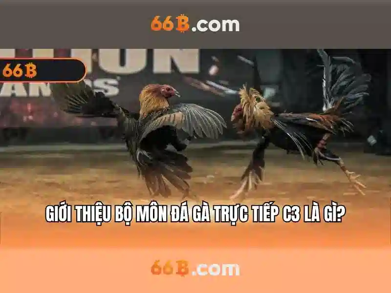 66b là gì và tại sao nó quan trọng