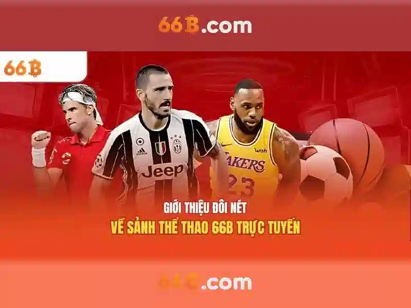 Giới thiệu về 66B