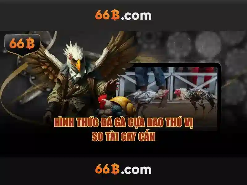 66b: Khái niệm, tính năng và ứng dụng