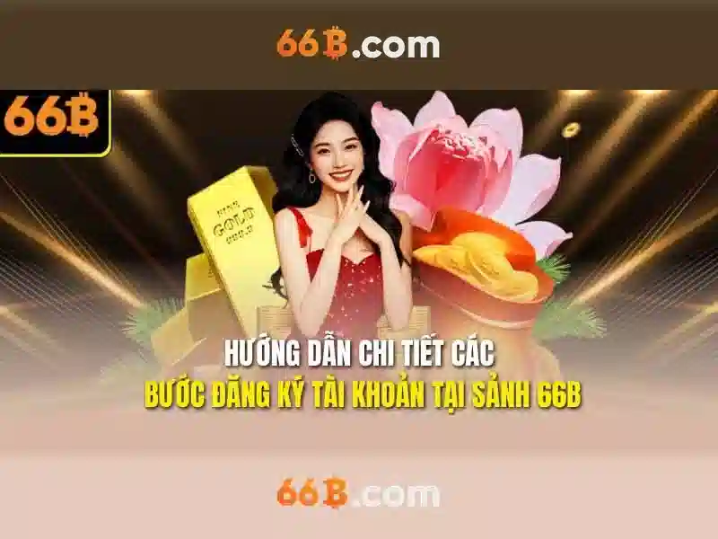 66B là gì?