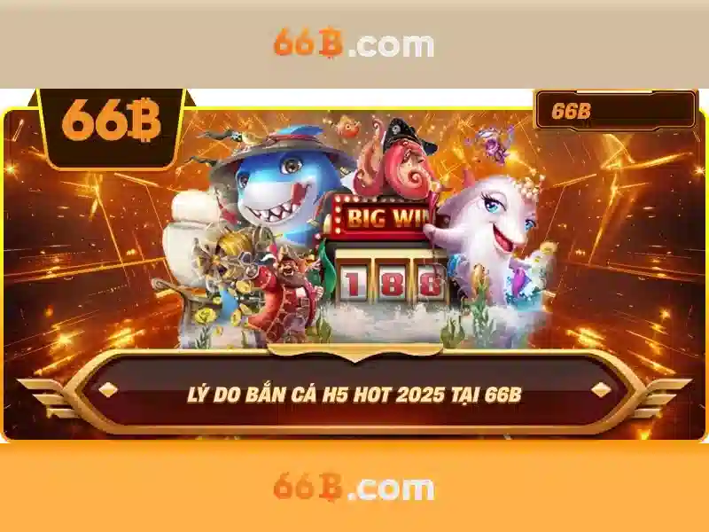 Định nghĩa và phạm vi áp dụng của 66B