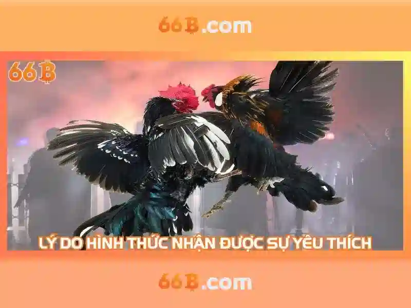 Ứng dụng tiềm năng