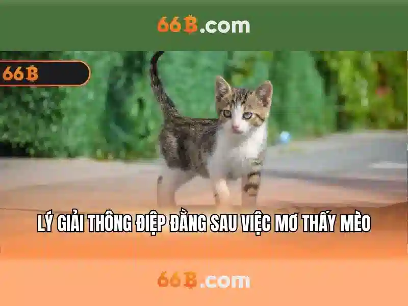 Hiệu suất và tối ưu hóa
