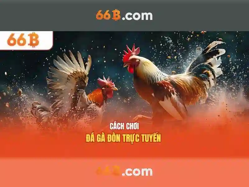 66b: khái niệm số học và ứng dụng