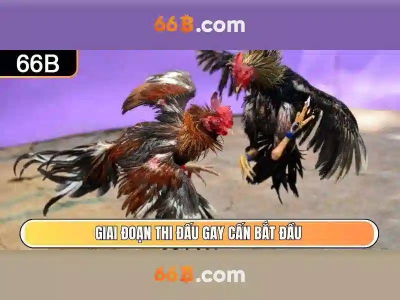 66B: một mô hình ngôn ngữ lớn và ảnh hưởng của nó