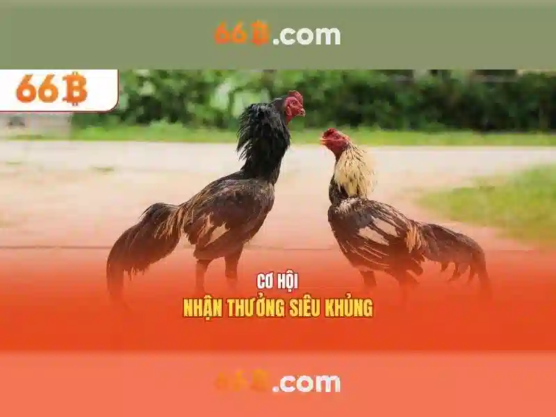 So sánh tỷ lệ trả thưởng xổ số truyền thống và online tại 66b