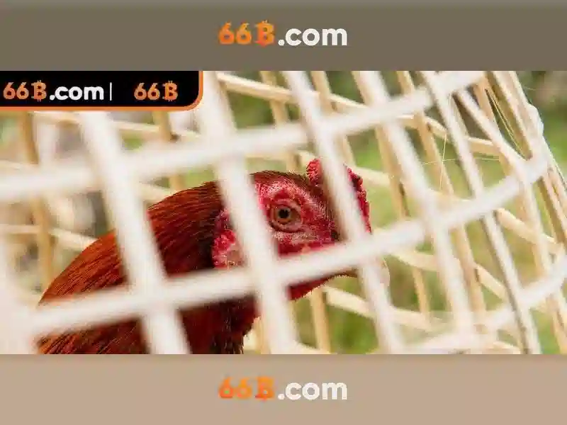 Kiến trúc và đặc điểm nổi bật