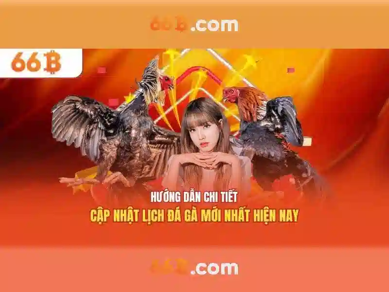 66B: một cái nhìn tổng quan về hệ thống 66B