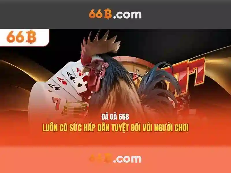 Kiến trúc và đặc điểm
