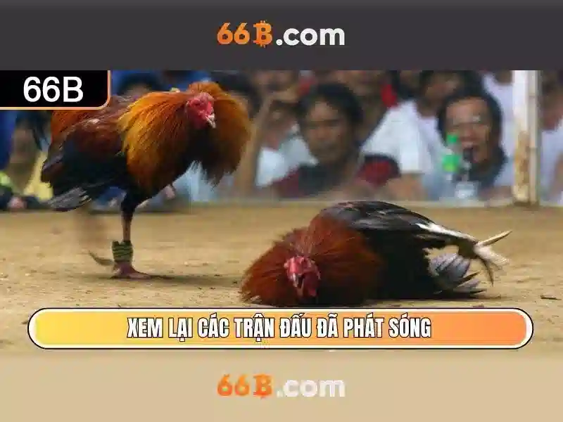 Thách thức và giới hạn của 66B