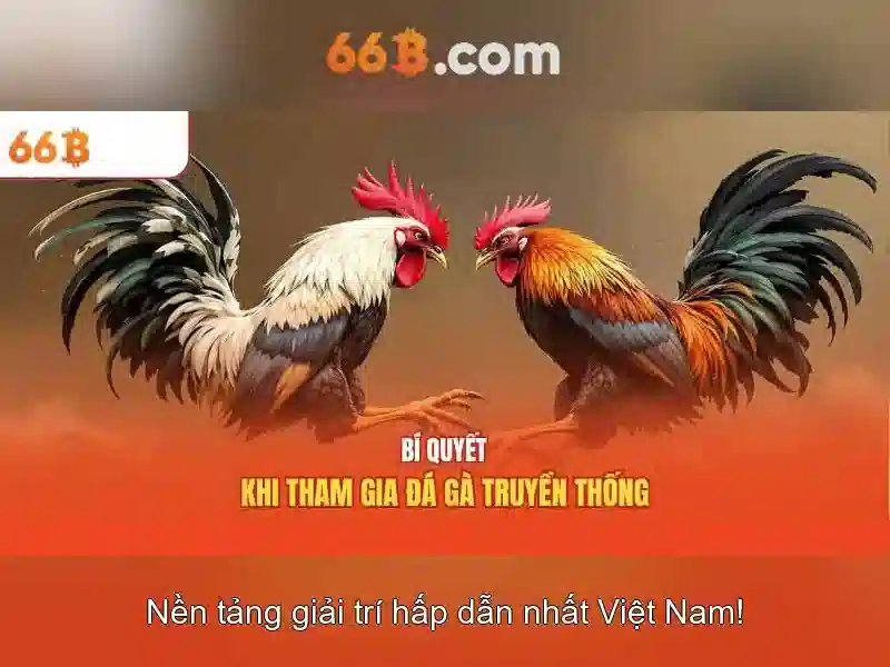66b: Khái niệm, cấu trúc và ứng dụng