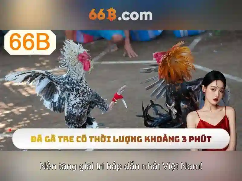 Ứng dụng và thách thức của 66b