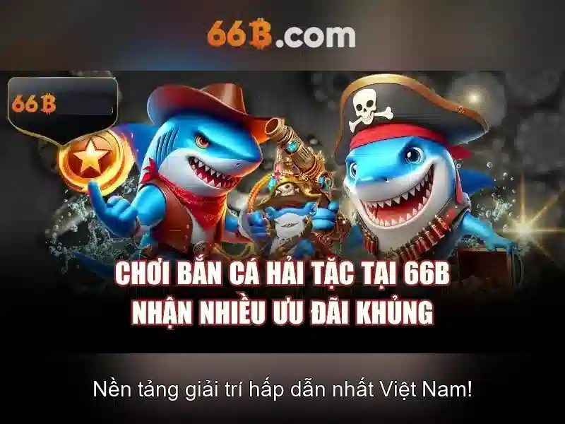 66B là gì?