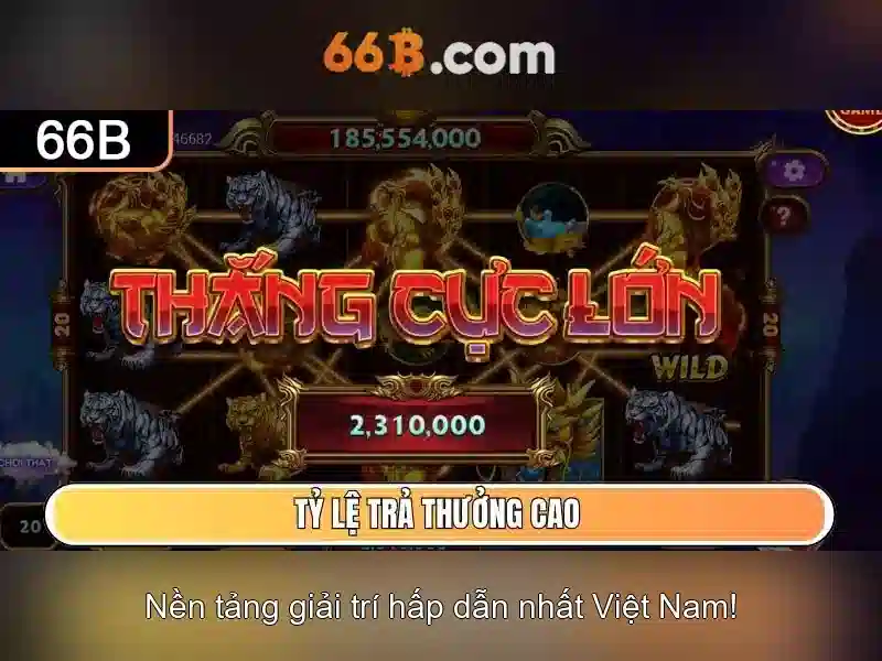 66b là gì? - Khái niệm và ứng dụng