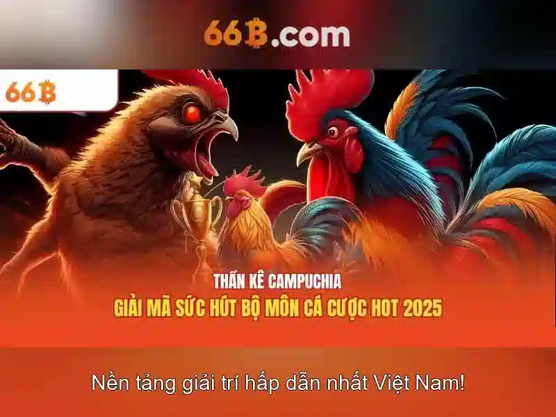 Khả năng và giới hạn