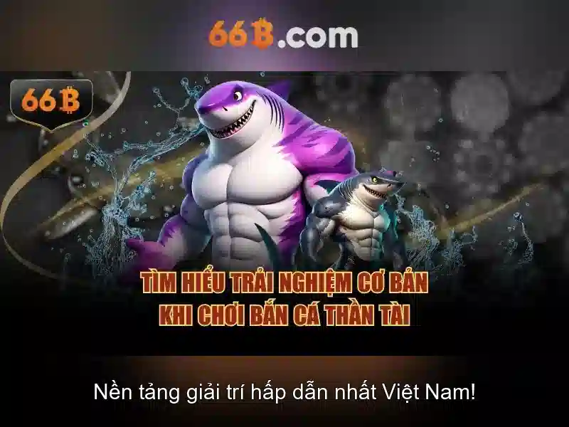 66B là gì