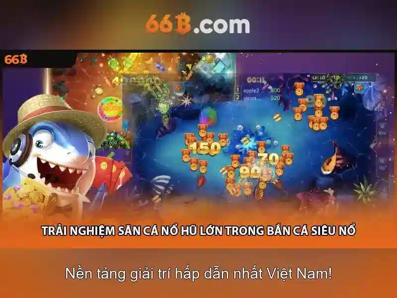66b là gì và những điều cần biết