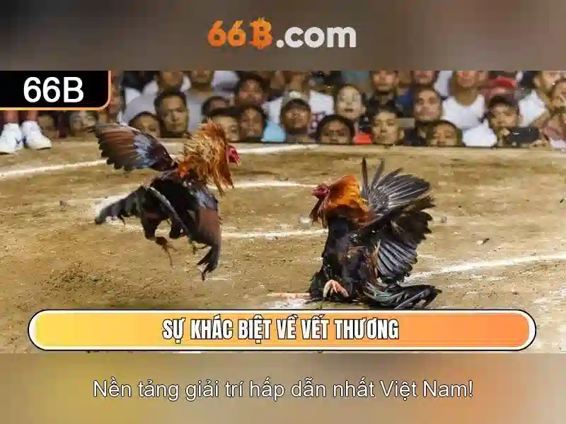 So sánh với các mô hình khác