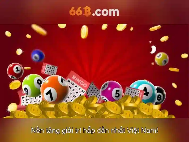 66B là gì?