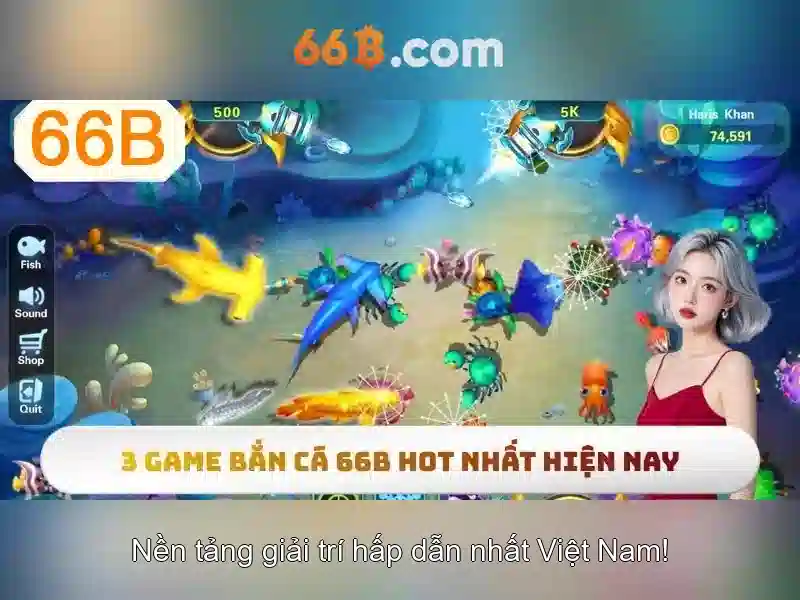 66b: Khám phá một khía cạnh độc đáo