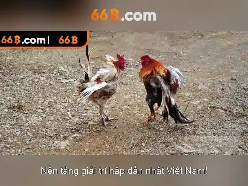 Ứng dụng của 66b trong doanh nghiệp và nghiên cứu