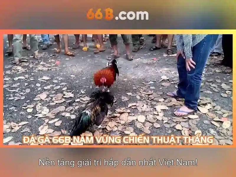 Cấu hình và tham số