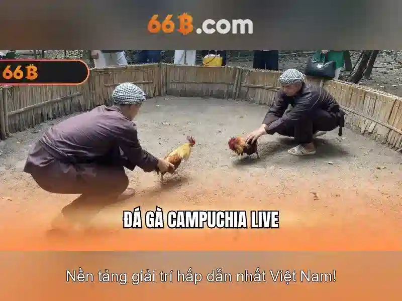 66b: Khái niệm và ứng dụng của mô hình 66 tỷ tham số