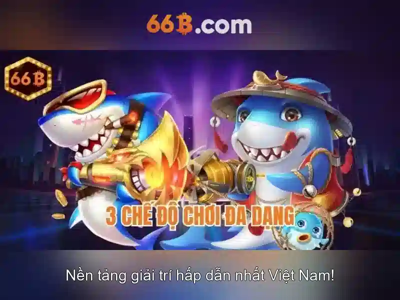 66b là gì?