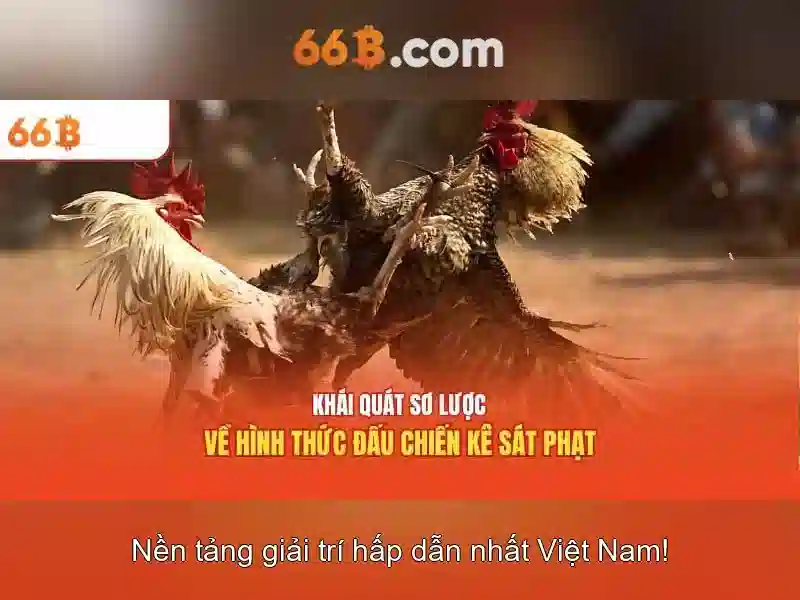 Ứng dụng và thị trường cho 66b