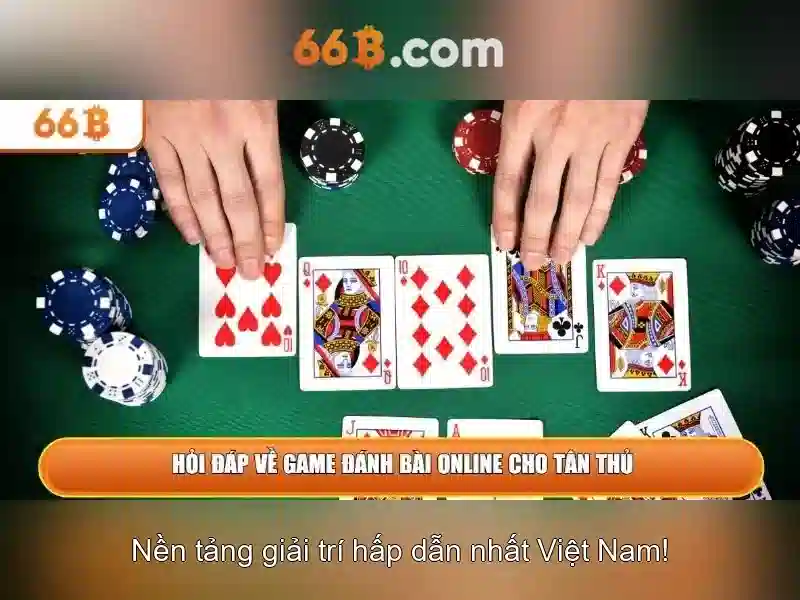66b là gì