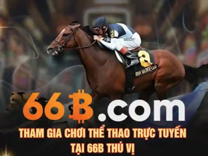66b là gì