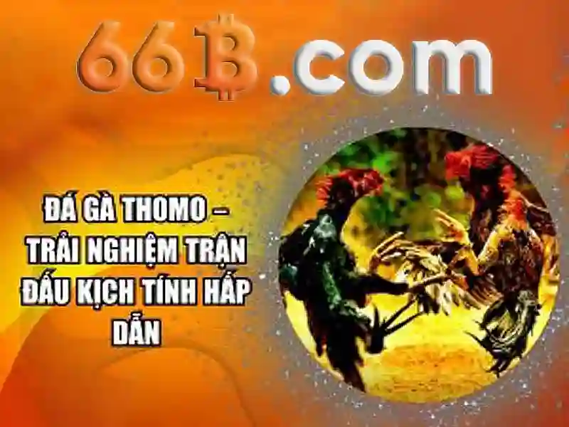 66B là mô hình ngôn ngữ có kích thước lớn