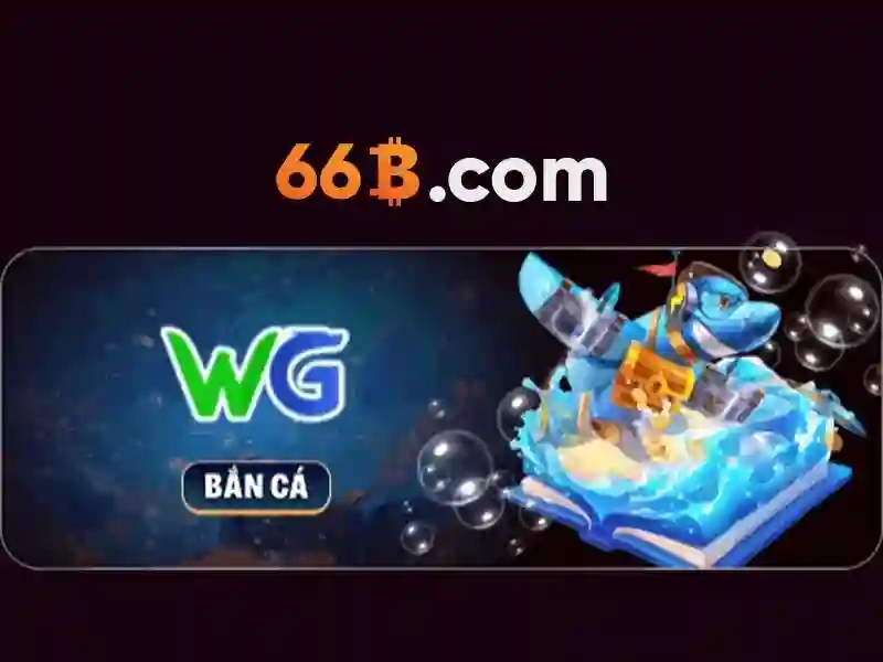 Góc nhìn tổng quan về 66b