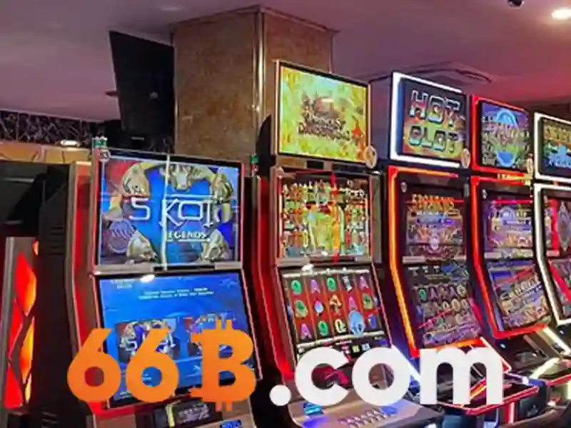 66B là gì?
