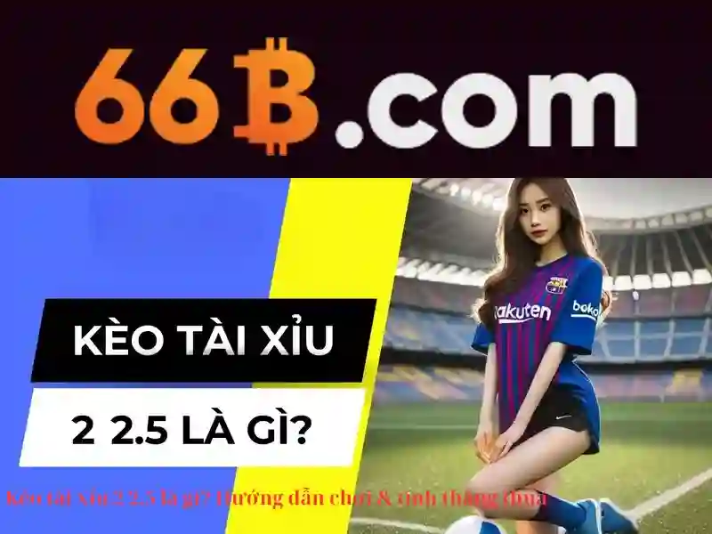 66b: Nền tảng ngôn ngữ tiên tiến cho tương lai